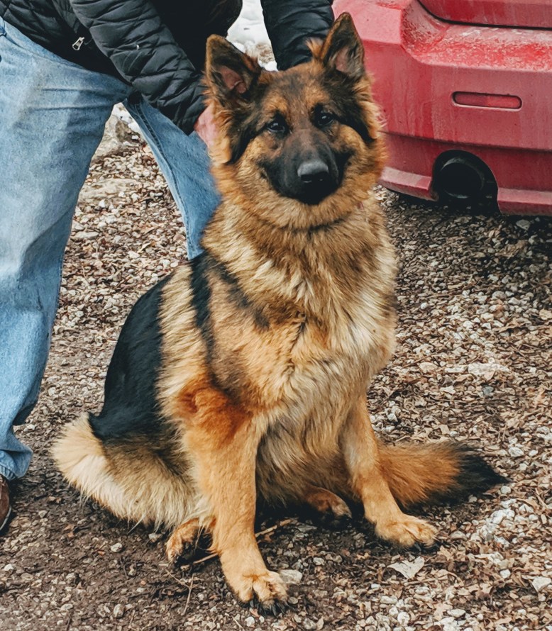 MVIMG_20190222_161358